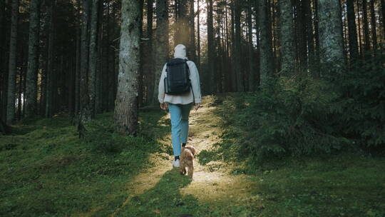 女人和小狗往森林里徒步
