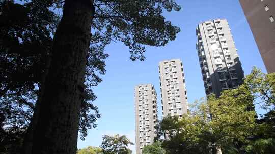 小区楼盘住宅环境特写