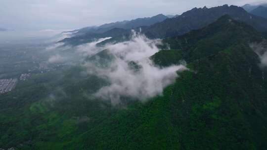 航拍秦岭山脉森林云雾风光