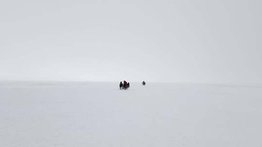 雪橇旅游冬季