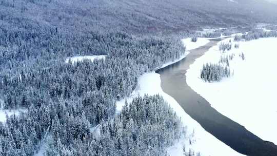 冬季森林河流航拍全景