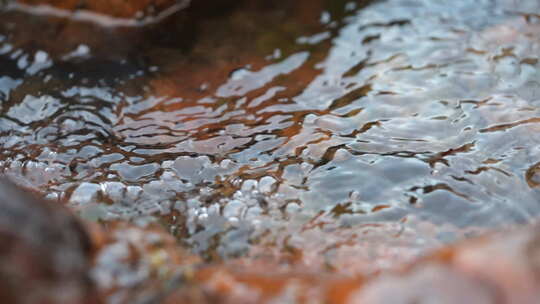 流水 小溪 生命源泉 流动的水 慢放 清水