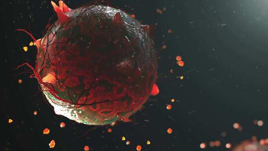 病毒细胞癌细胞巨噬细胞活动