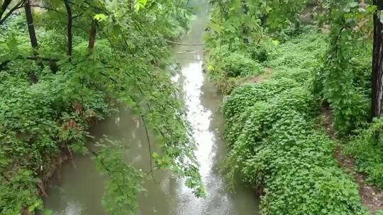 下雨的小河沟