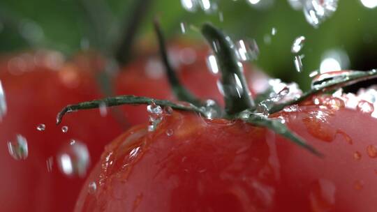 番茄 西红柿 水果 食物 慢动作 静止