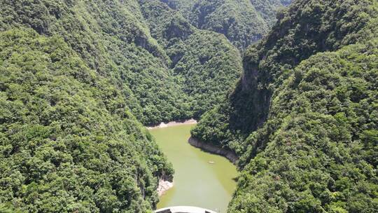 航拍湖北神农架野人谷4A景区