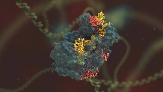 生物科学 基因编辑 DNA 基因工程 医学动画