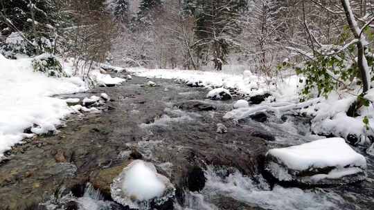 雪冬天流经森林的河流