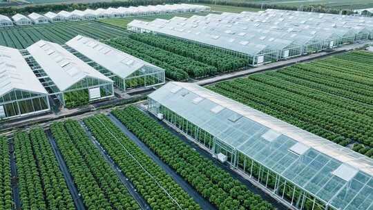 现代化农业大棚鸟瞰