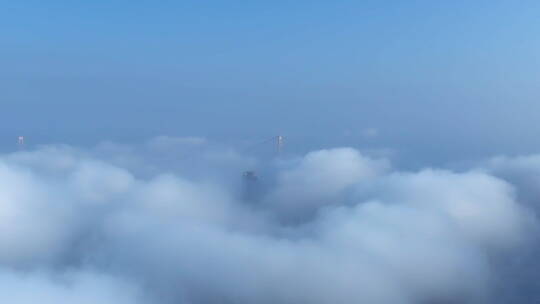 航拍云雾中的清晨杨泗港大桥