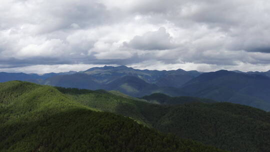 云南松茸航拍白云高山阳光709