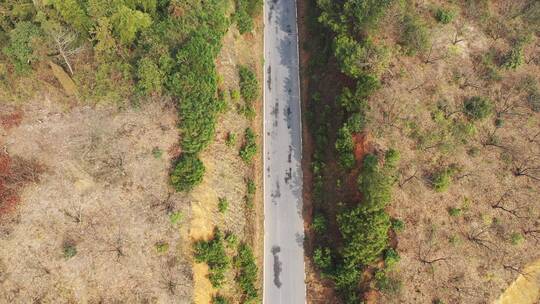 航拍汽车行驶在山路间