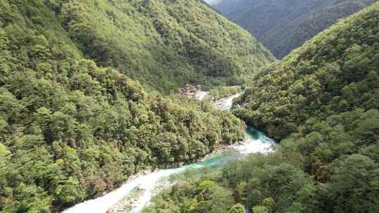 4K怒江独龙江乡普卡旺 原始森林溪流风景2