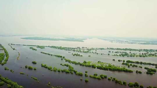 航拍抚远乌苏里江和湿地沿岸风光