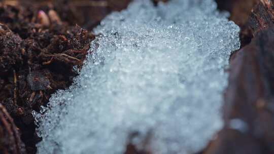 冬去春来冰雪融化大地回春生机勃勃