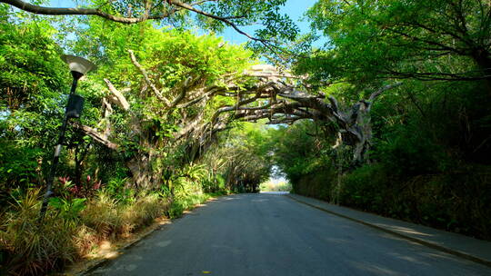 唯美山间郊外公路