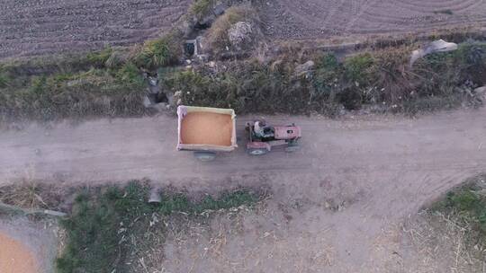 农民开拖拉机在乡间小道运输玉米视频素材模板下载