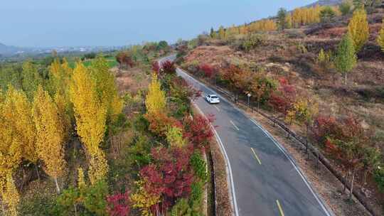 金色秋天旅游公路风景航拍