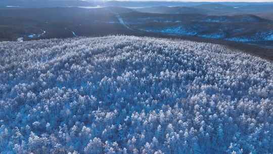 林海雪原 唯美高山雾凇