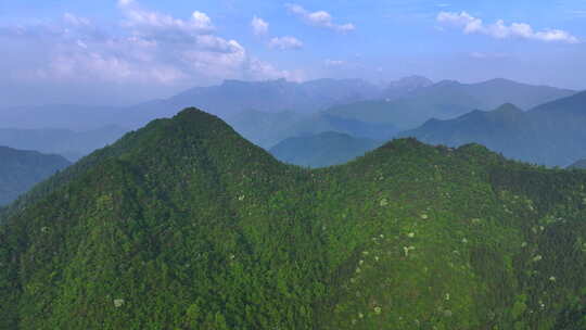 实拍雨后森林云雾缭绕 绿水青山 高山云海