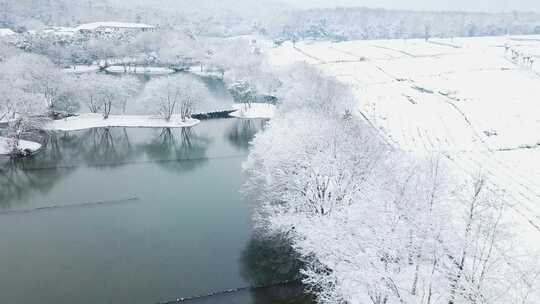 杭州西湖雪景大雪纷飞的浙江