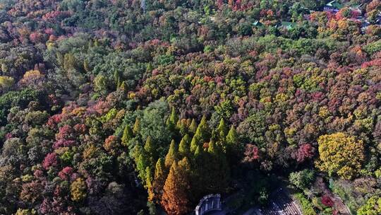 江苏南京中山陵灵山风景区音乐台秋色航拍