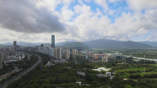 福田红树林生态公园