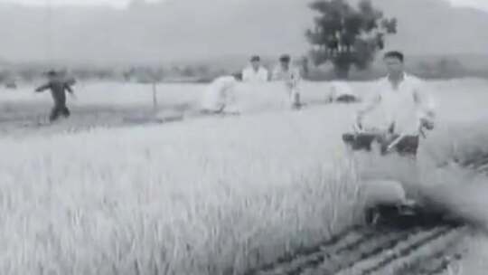 1972年农业机械化影像1视频素材模板下载