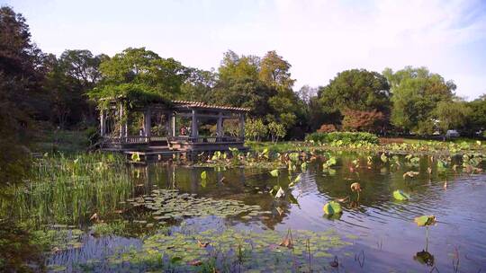 杭州西湖湖畔杭州花圃空镜头4K实拍视频