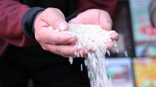 大米加工 稻米 粮食加工