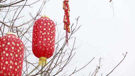 春节悬挂灯笼