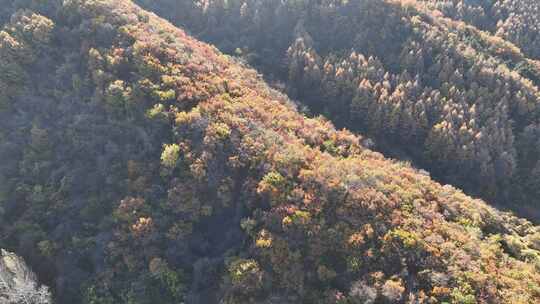 航拍辽宁千山色彩斑斓的秋景