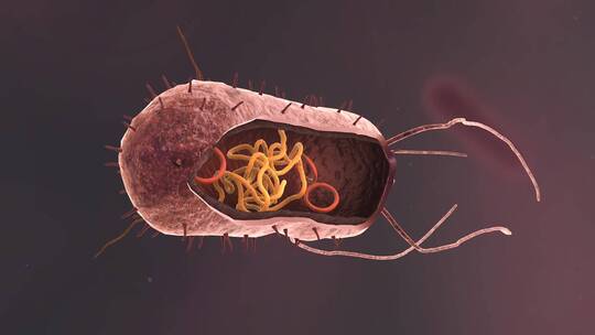 医学病原体病毒病原体病菌细菌医学三维动画