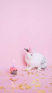 小兔子和蛋糕