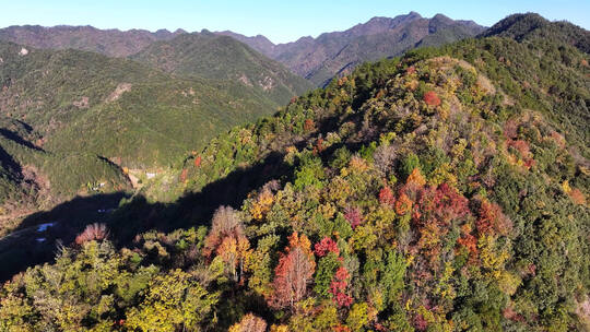 浙江浦江三十六岗森林秋色风光航拍