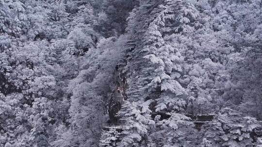 安徽黄山雪景