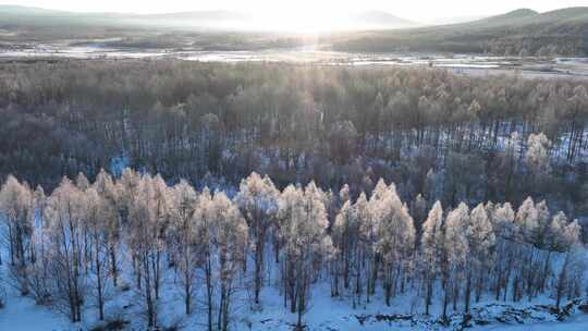 航拍雪原阳光树林雾凇