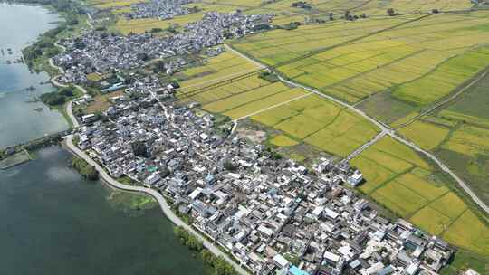 大理稻田航拍风光