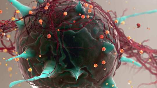 肿瘤细胞的活跃过程动画