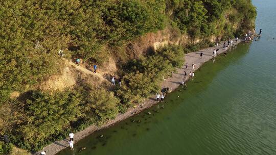 海边沙滩旅游的游客