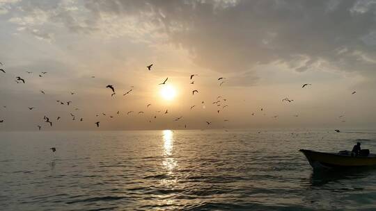 海边日落海面飞过的鸟群