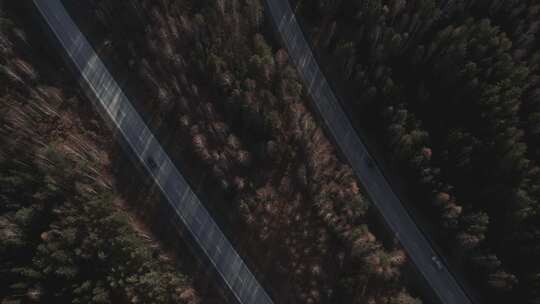 秋季森林之间的多车道高速公路
