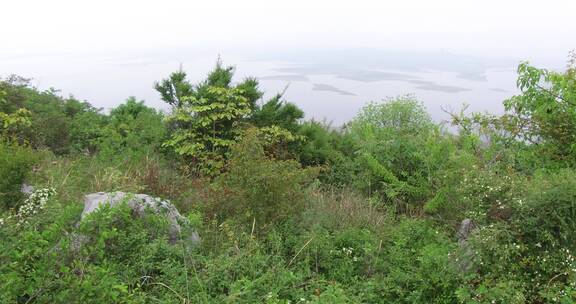 荒山野岭