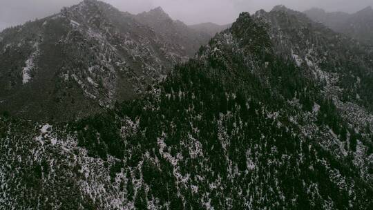 冬天山上风吹来的雪