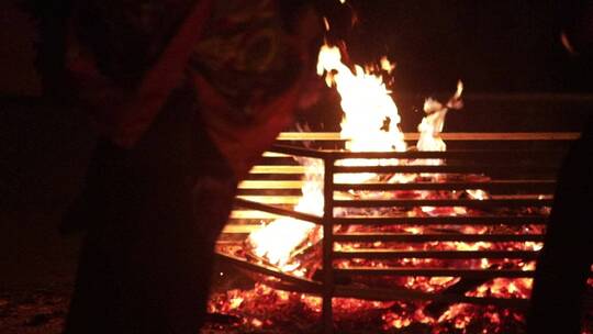 篝火中木材燃烧视频素材4