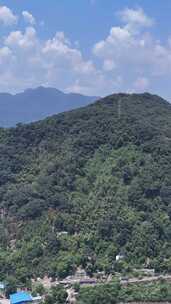 竖屏航拍福建三明城市绿化植物