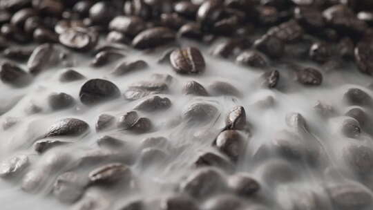 咖啡豆干冰