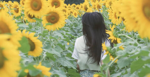 精品 · 升格向日葵花海里玩泡泡的少女