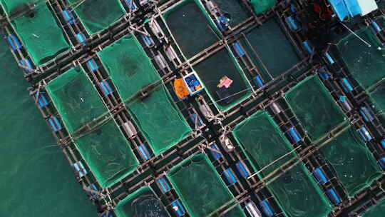 渔场的空中自下而上视图，在海上，有许多繁殖网箱。越南