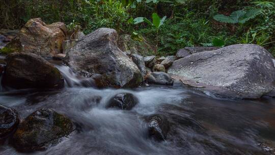 延时特写小溪流水